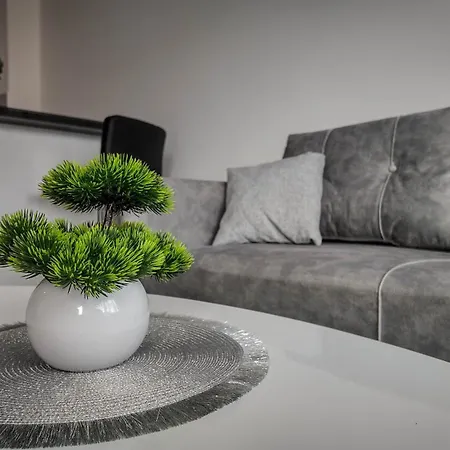 Jovanovic Appartement Pirot