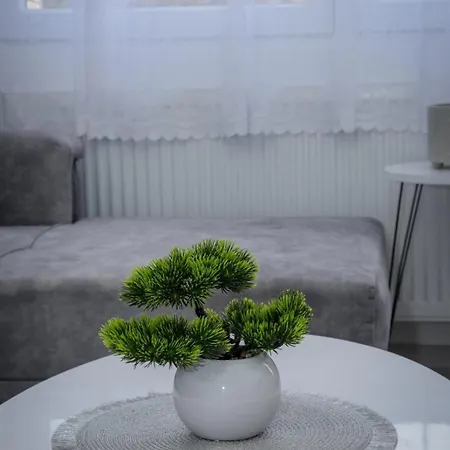 Appartement Jovanovic *